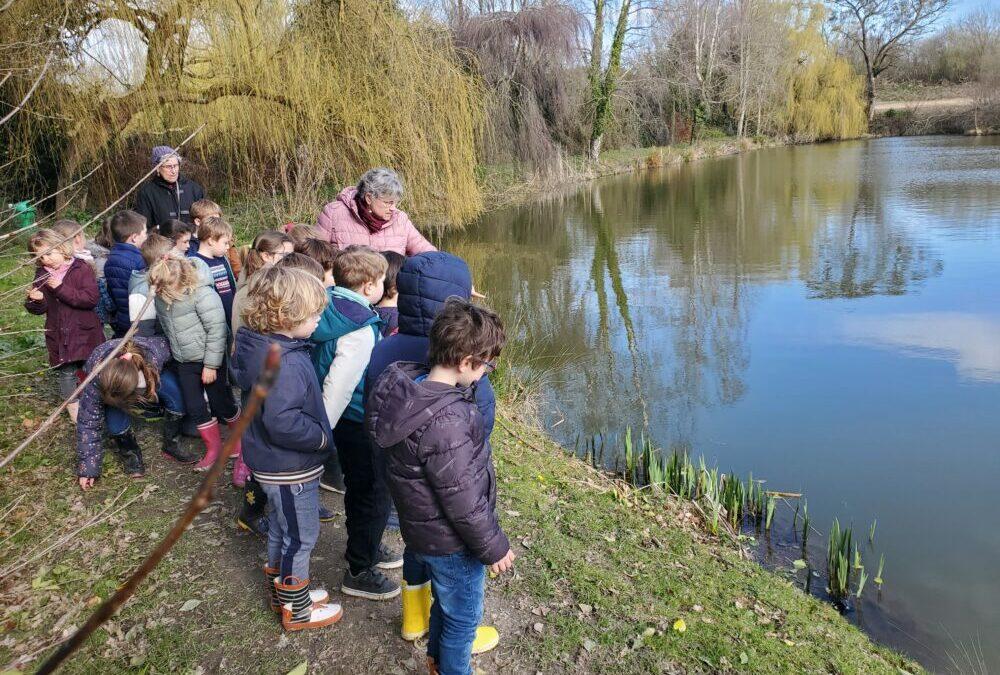 SORTIE NATURE