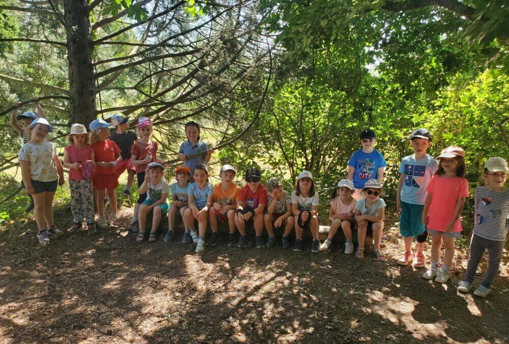 LES JARDINS DE BROCELIANDE