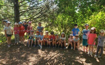 LES JARDINS DE BROCELIANDE