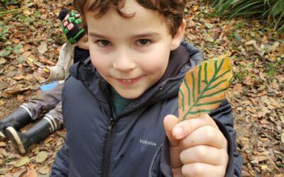ECOLE DEHORS SEANCE 2