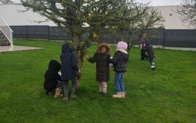 ECOLE DEHORS : L’ARBRE EN HIVER