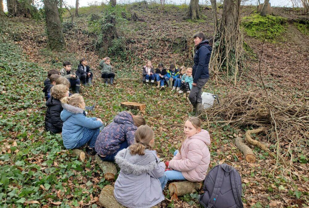 ECOLE DEHORS : LES OISEAUX